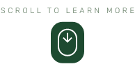 Scroll to learn more